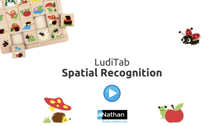 LudiTab Spatial Recognition