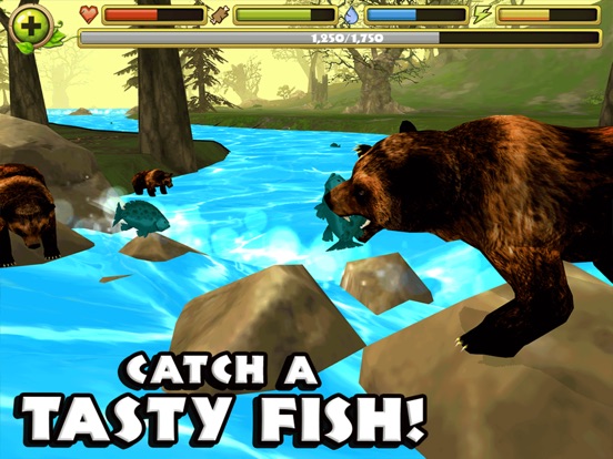 Wildlife Simulator: Bear для iPad