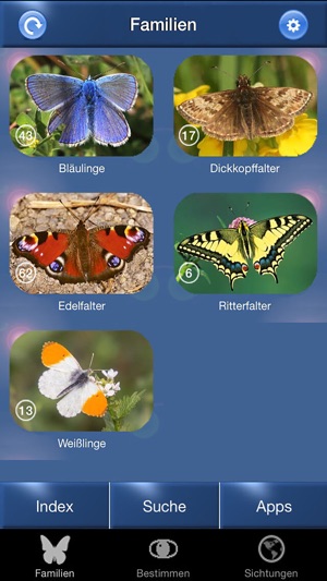 Schmetterling Id - Tagfalter(圖1)-速報App