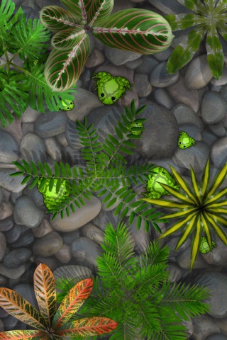 Pocket Frogs screenshot 3