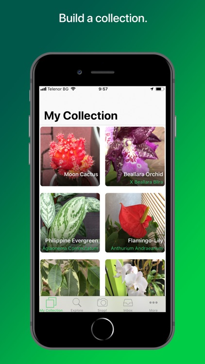 PlantSnap Plant Identification screenshot-3