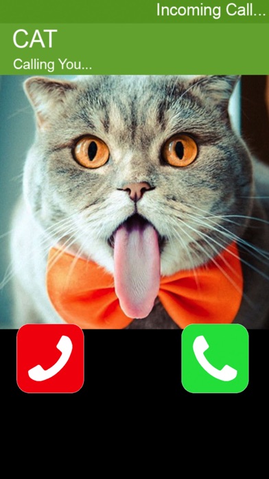 Call Cat 2 screenshot 2