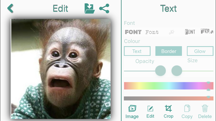 Animal Emojis With TextPhotos
