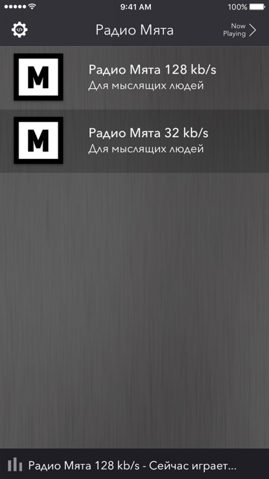 Радио Мята screenshot 2