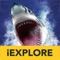 Get ready for an amazing Augmented Reality experience where you can explore the ocean depths and interact with sea predators