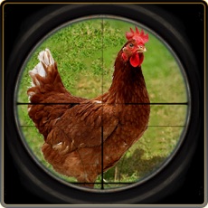 Activities of Chicken Hunt Sniper shooting