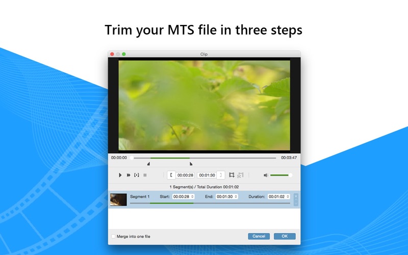 Tipard MTS转换器–将MTS转换为MP4 / MOV