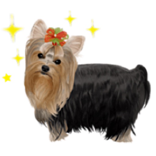 Yorkshire Terrier Dog Sticker icon