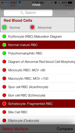 Hematology Outlines Atlas(圖3)-速報App