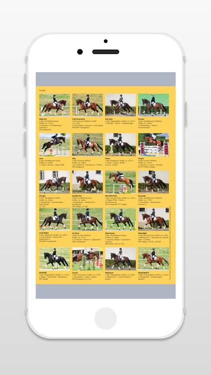 Reiterjournal - Zeitschrift screenshot-3