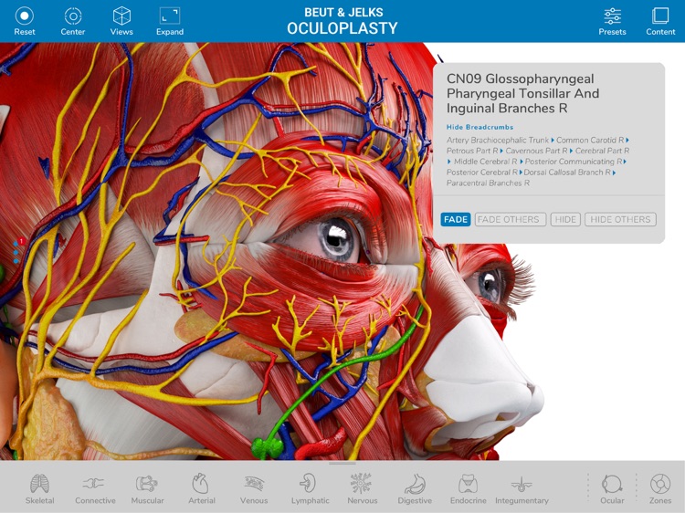 Beut&Jelks OculoplastyWorkshop