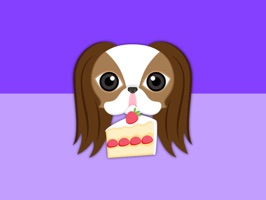 Brown White Japanese Chin