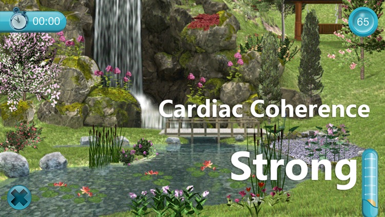 Cardiac Coherence : The Garden