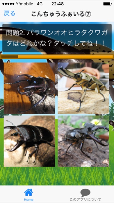 カブトムシ・クワガタムシクイズ　昆虫図鑑 screenshot 3