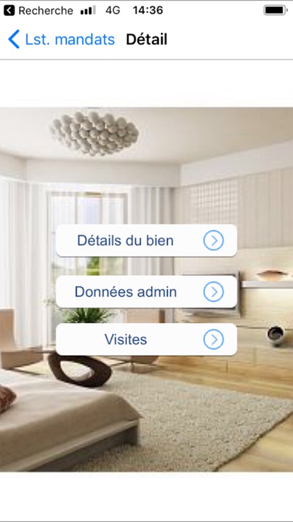 iWinImmobilier screenshot-4