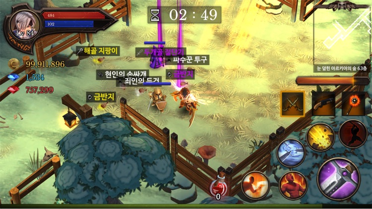 Dungeon Chronicle screenshot-3