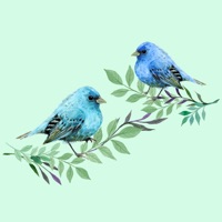 Watercolor Beautiful Birds Sticker Pack