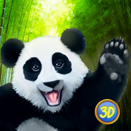 Panda Family Simulator