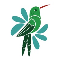 Aves de Cozumel pour PC