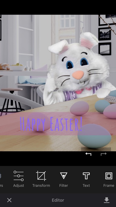 Catch the Easter Bunny screenshot 3