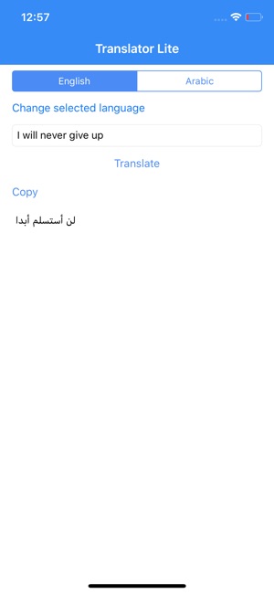 Translator Lite(圖6)-速報App