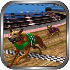 Activities of Crazy Real Dog Racing