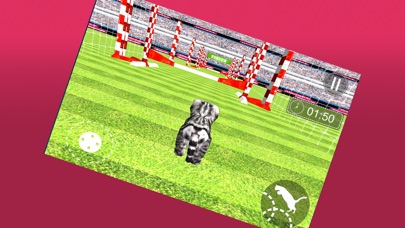 3D Kitty Cat Simulator screenshot 2