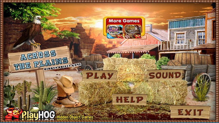 Across the Plain Hidden Object screenshot-3