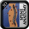 Anatomy Spine 3D