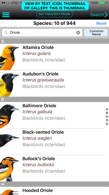 iBird Pro Guide to Birds