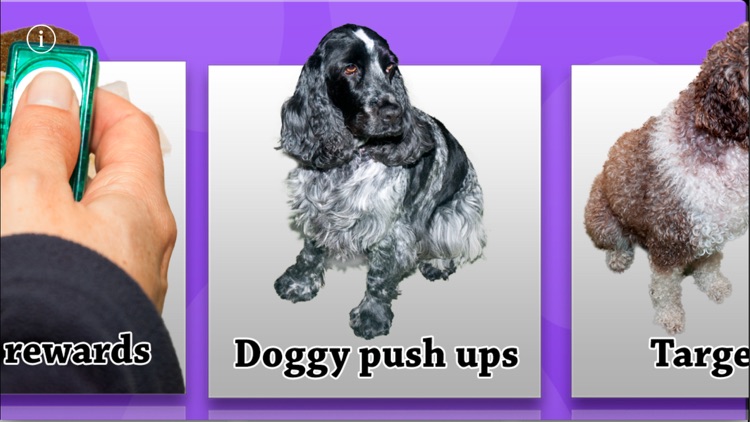 The Friendly Dog Club: Basic Training