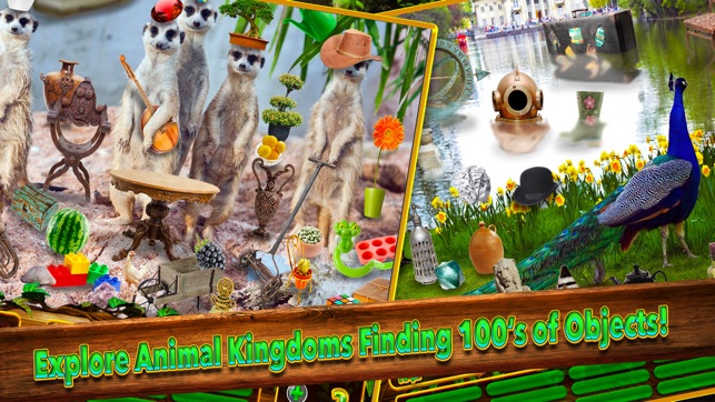 Hidden Objects Animal Kingdom(圖3)-速報App