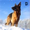 Arctic Shepherd Dog Simulator 2017