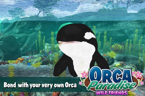 Orca Paradise - All Access screenshot 2
