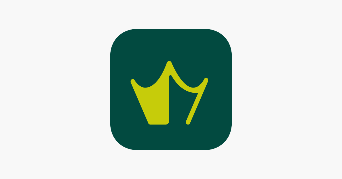 essay king app