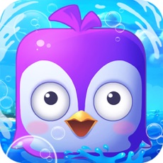 Activities of Nemo,Bravo!