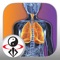 Learn the secret methods of Qigong Breathing with this streaming video lesson to energize your body