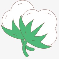 Cotton yield assessment