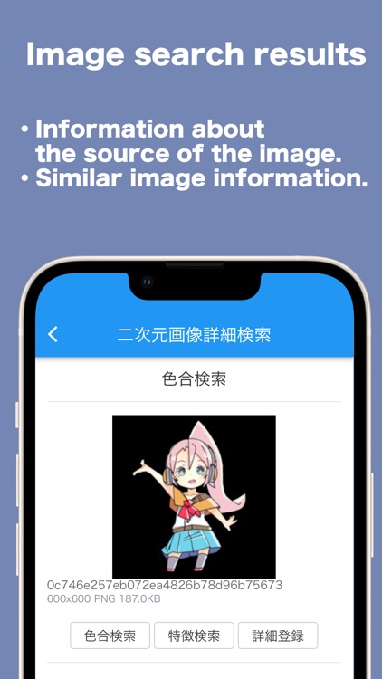 2D Image Detail Search