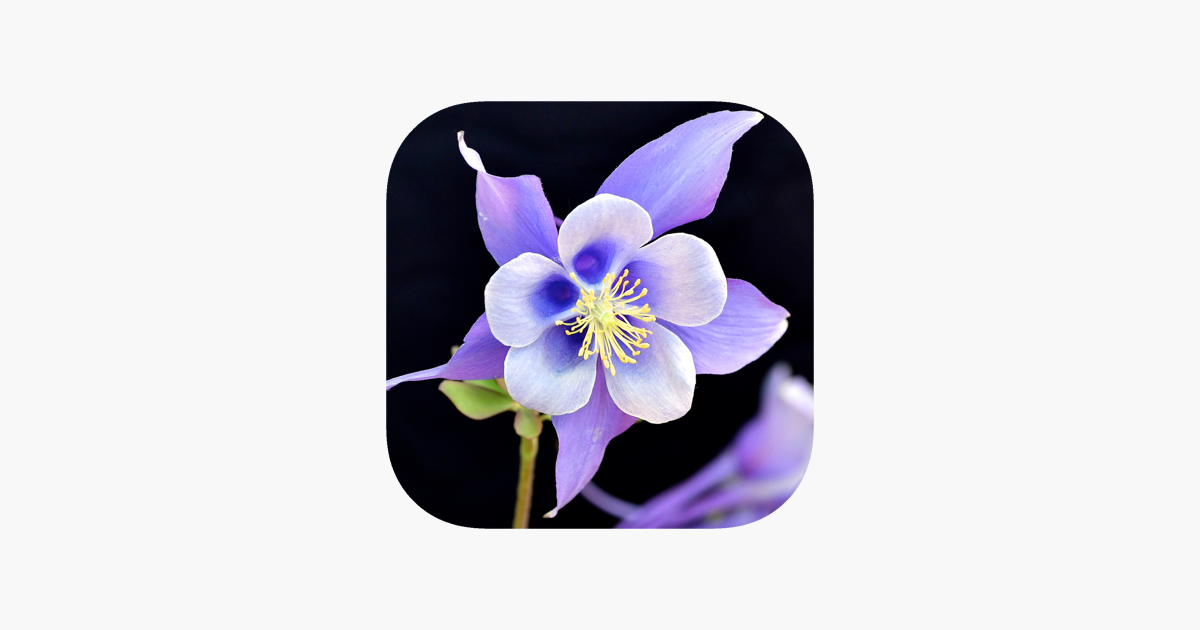 Colorado Wildflower Search on the App Store