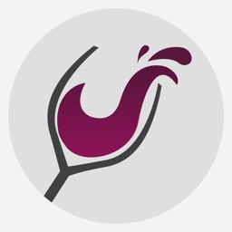 Wine4.Me – Wine and Food Pairing, Recommendation