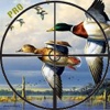 A duck hunting PRO : Animal sniper game