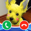 Pretty Puppy Dog Calling You!