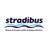 Stradibus