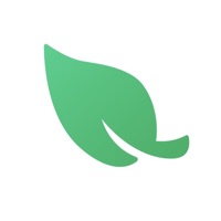 Kontakt Leaf VPN