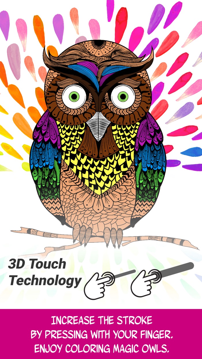 Owl Discover Magic Coloring Pages for Adults
