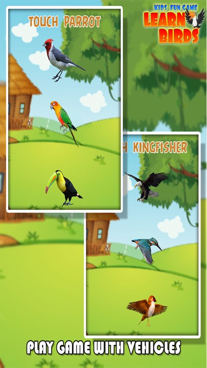Kids Fun Game Learn Birds screenshot-4