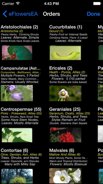 Wildflowers of Europe & Asia - A Wildflowers App