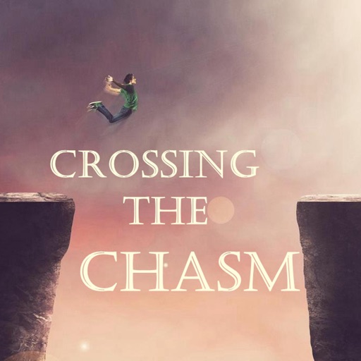 Quick Wisdom - Crossing The Chasm- Marketing Tips icon