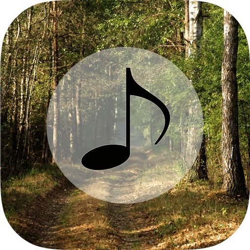 Forest Sounds - Forest Music,Sound Therapy Icon